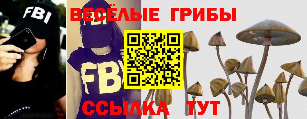 Галлюциногенные грибы мухоморы  Псилоцибиновые грибы прущие грибы  Карталы  Вход с VPN 